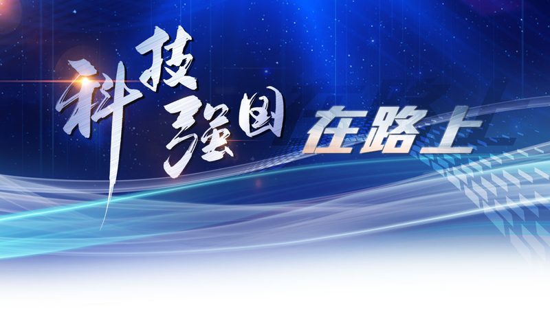 企业搜索技术架构规范：构建高效信息检索的基石